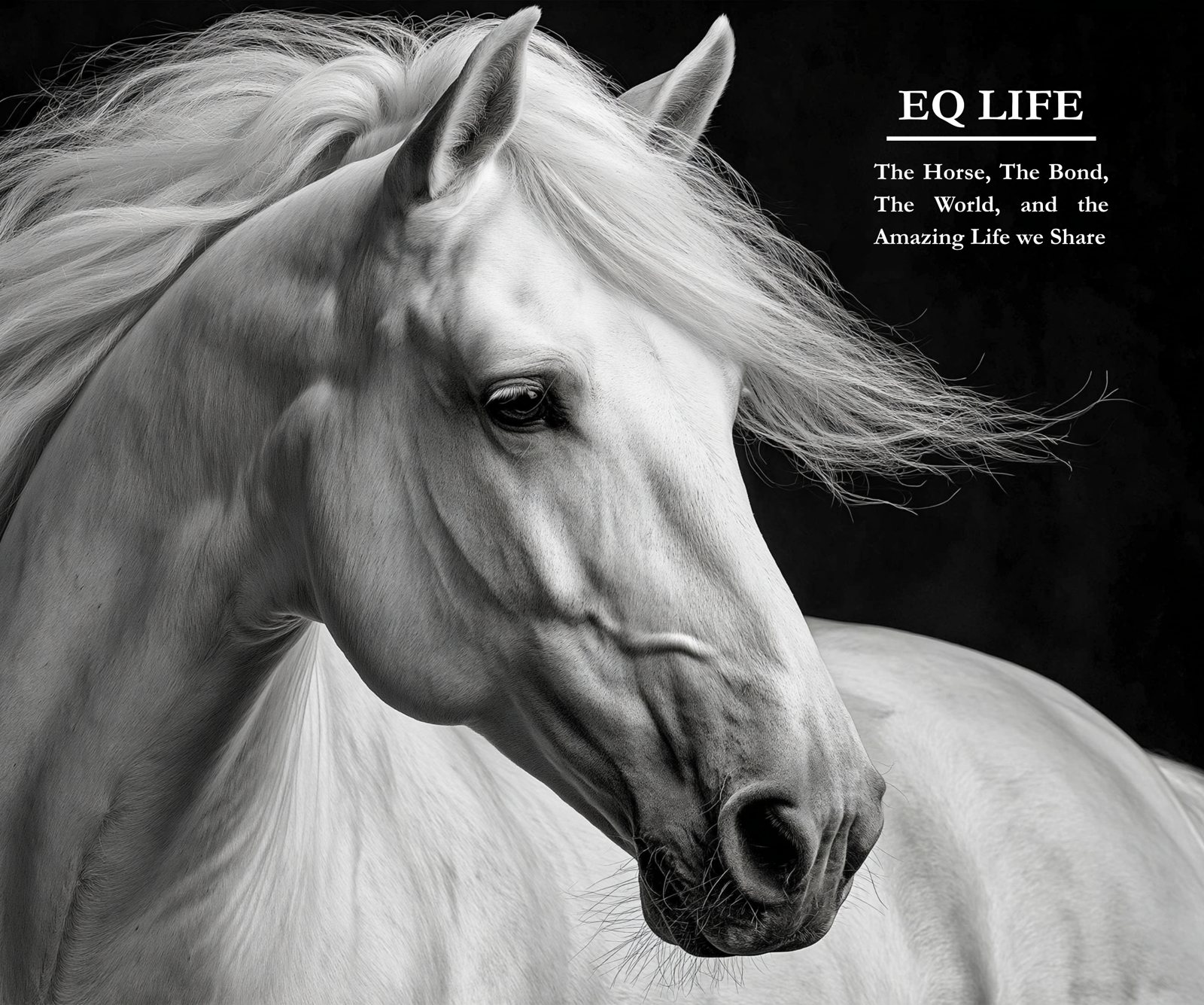 EQ Life, cover: a white horse