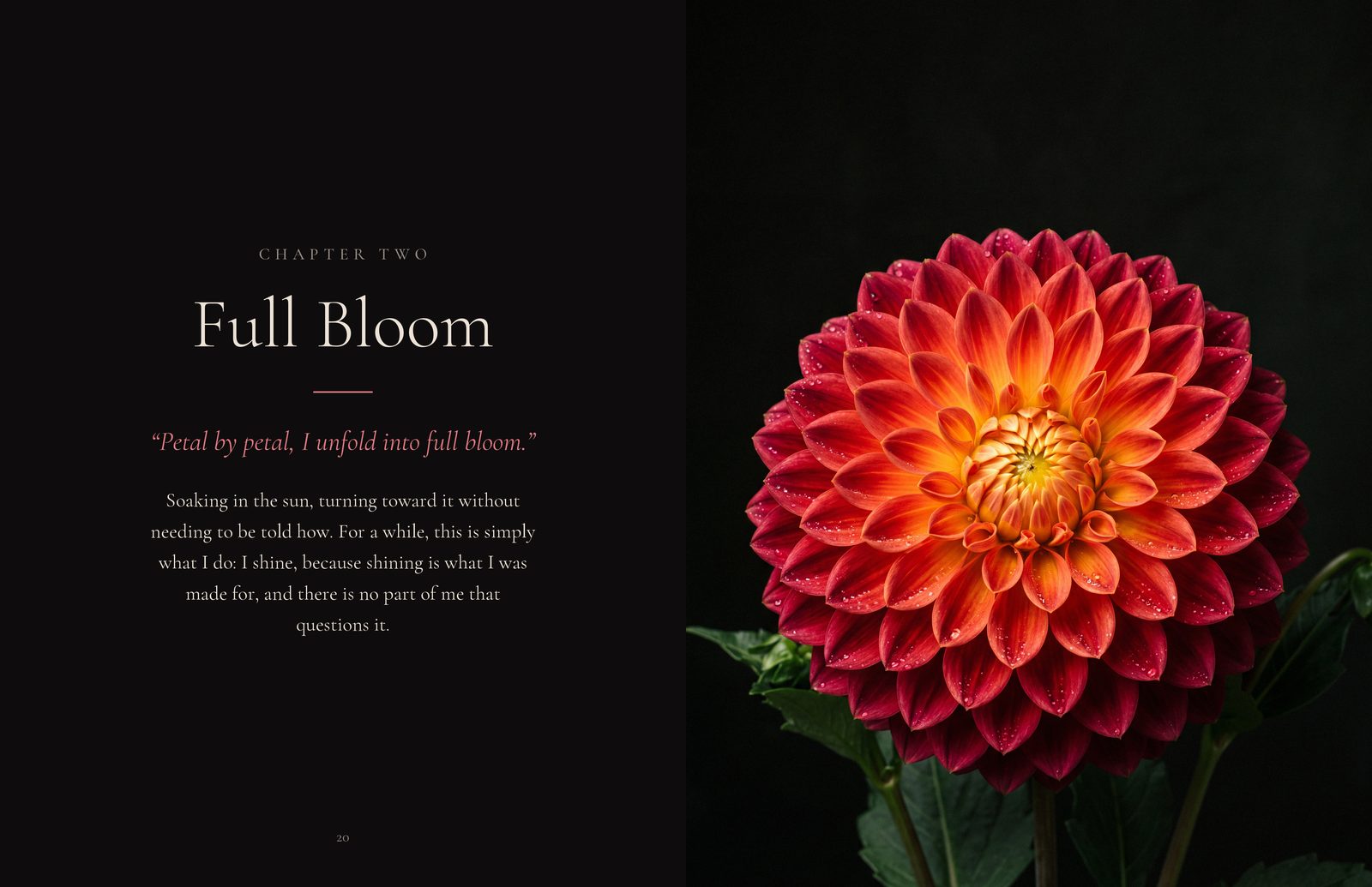 Inside To Flower: Full Bloom
